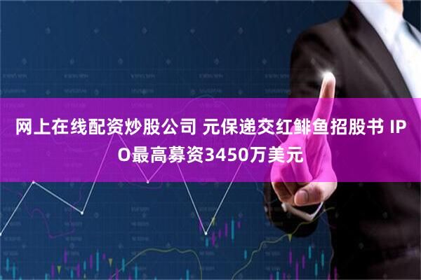 网上在线配资炒股公司 元保递交红鲱鱼招股书 IPO最高募资3450万美元